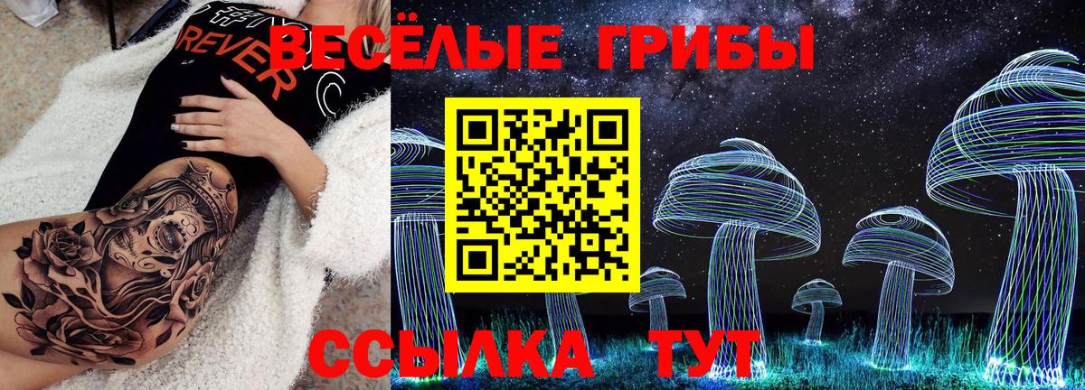 Галлюциногенные грибы мицелий Орск