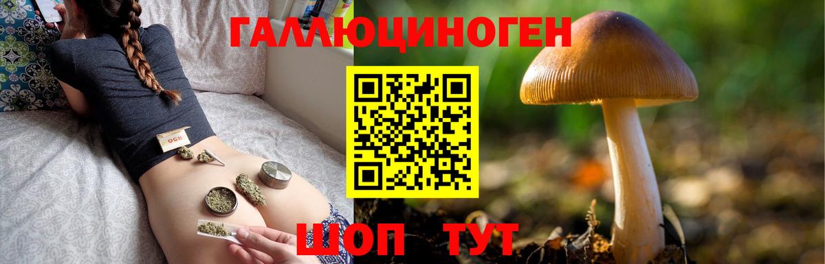 купить   Вход с VPN  Орск  Псилоцибиновые грибы Magic Shrooms 